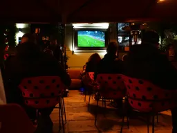 A televízió előtt töltött hosszú idő csökkenti az agy térfogatát
