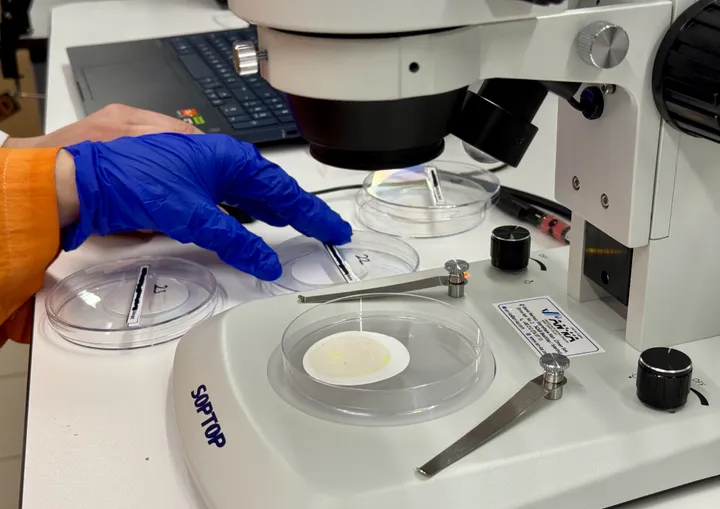 Publicités pour des anti-obésité: deux laboratoires mis à l'amende en France