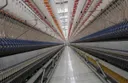 Türkiyənin ixracı iyul ayında 25,6 milyard dollara çatıb
