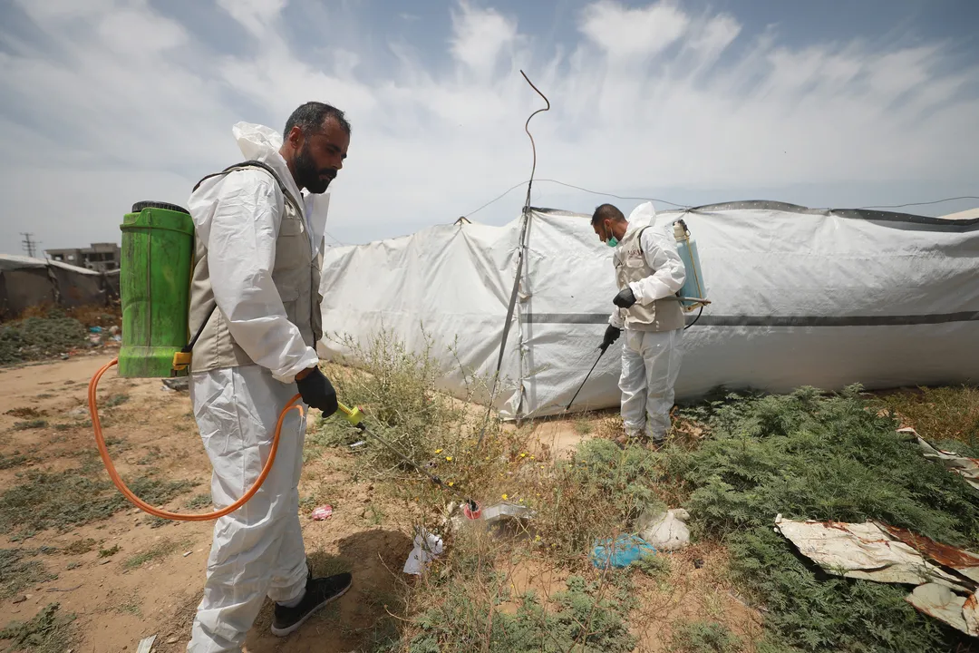 El 83% de los refugios para desplazados en Gaza está infestado de ratas e insectos, alerta la ONU