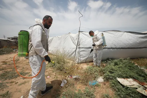 El 83% de los refugios para desplazados en Gaza está infestado de ratas e insectos, alerta la ONU