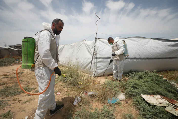 El 83% de los refugios para desplazados en Gaza está infestado de ratas e insectos, alerta la ONU