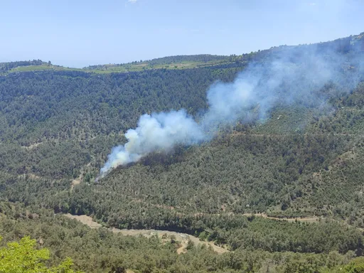 El Niño sporește riscul de incendii forestiere