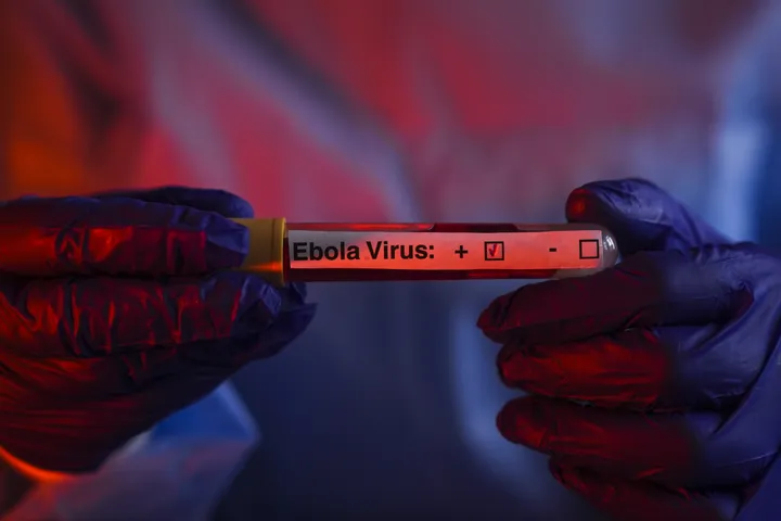 Ebola: Kenya reports first case as patient dies after arriving from DR Congo