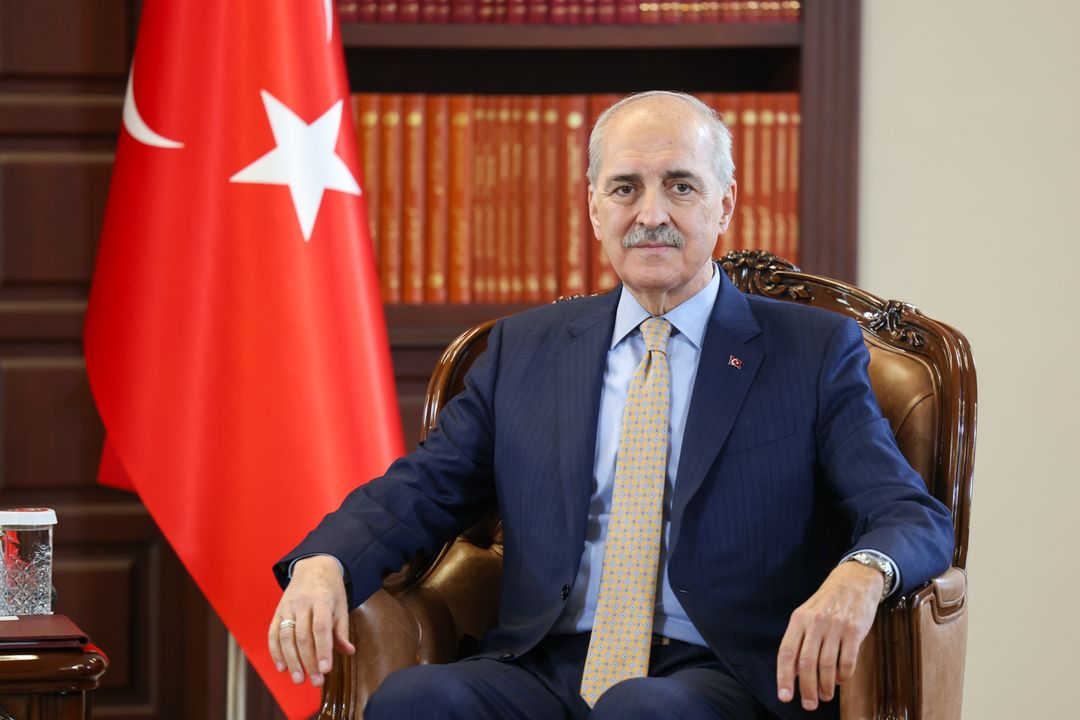 Kurtulmus  Projektligji për Solidaritetin Kombëtar  shembull unik i demokracisë