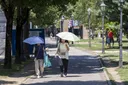 Plus de 10 000 morts en Europe à cause de la canicule