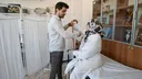 Banka quyu - 4 meñ yıllıq tarixı bulğan däwalaw ısulı