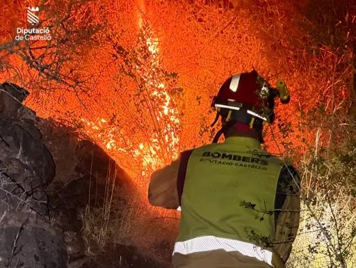 Nei paesi dell'UE, quest'anno le perdite causate dagli incendi boschivi hanno raggiunto i 435 mila ettari