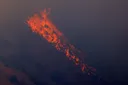 WWF: In Italia, quest'estate gli incendi boschivi hanno distrutto 70 mila ettari di terreno