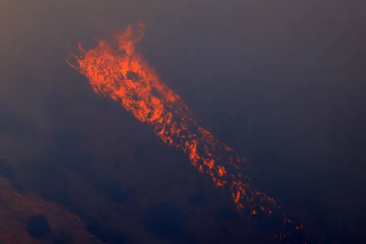 WWF: In Italia, quest'estate gli incendi boschivi hanno distrutto 70 mila ettari di terreno