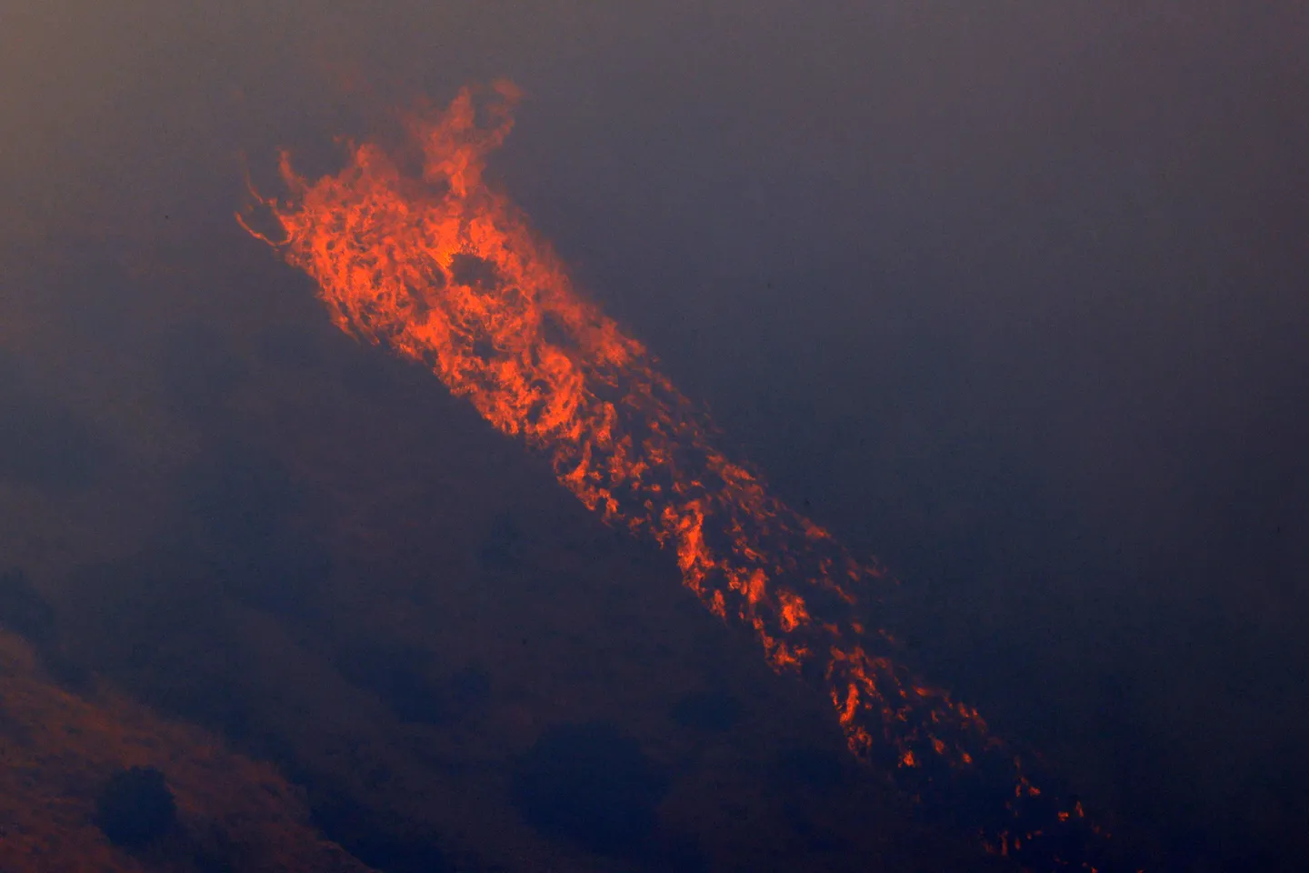 WWF: In Italia, quest'estate gli incendi boschivi hanno distrutto 70 mila ettari di terreno