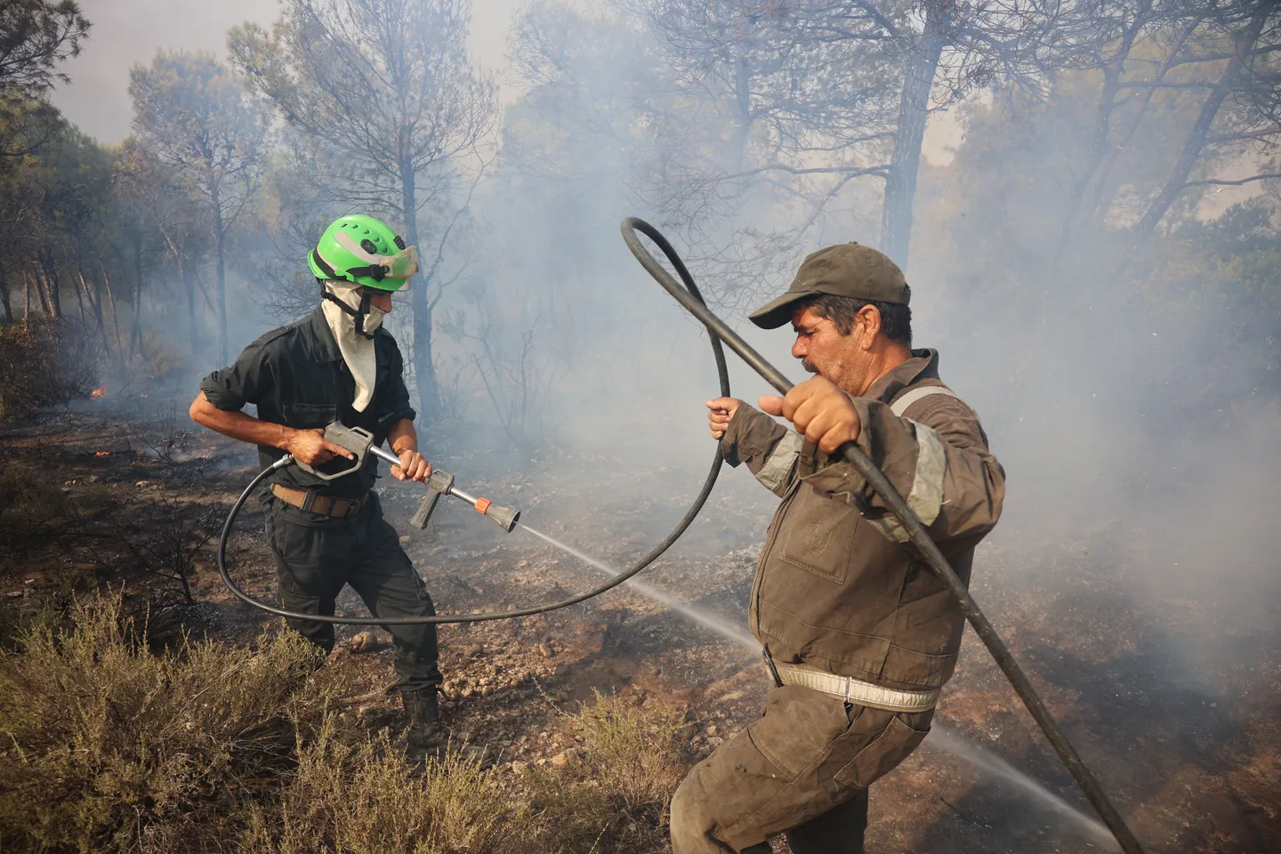 Algeria orders evacuations in Jijel province after wildfires threaten residential areas