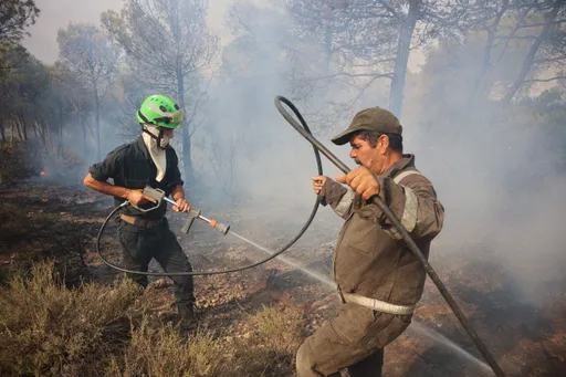 Algeria orders evacuations in Jijel province after wildfires threaten residential areas