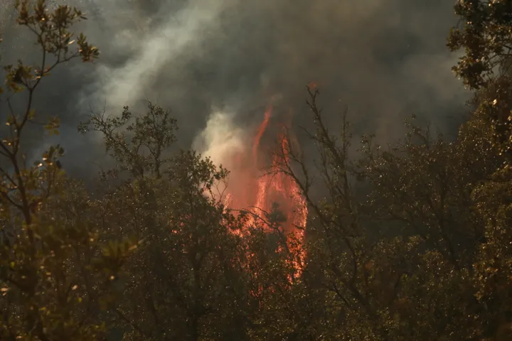 Incendiile de vegetație din Europa: Morți și zeci de mii de persoane evacuate