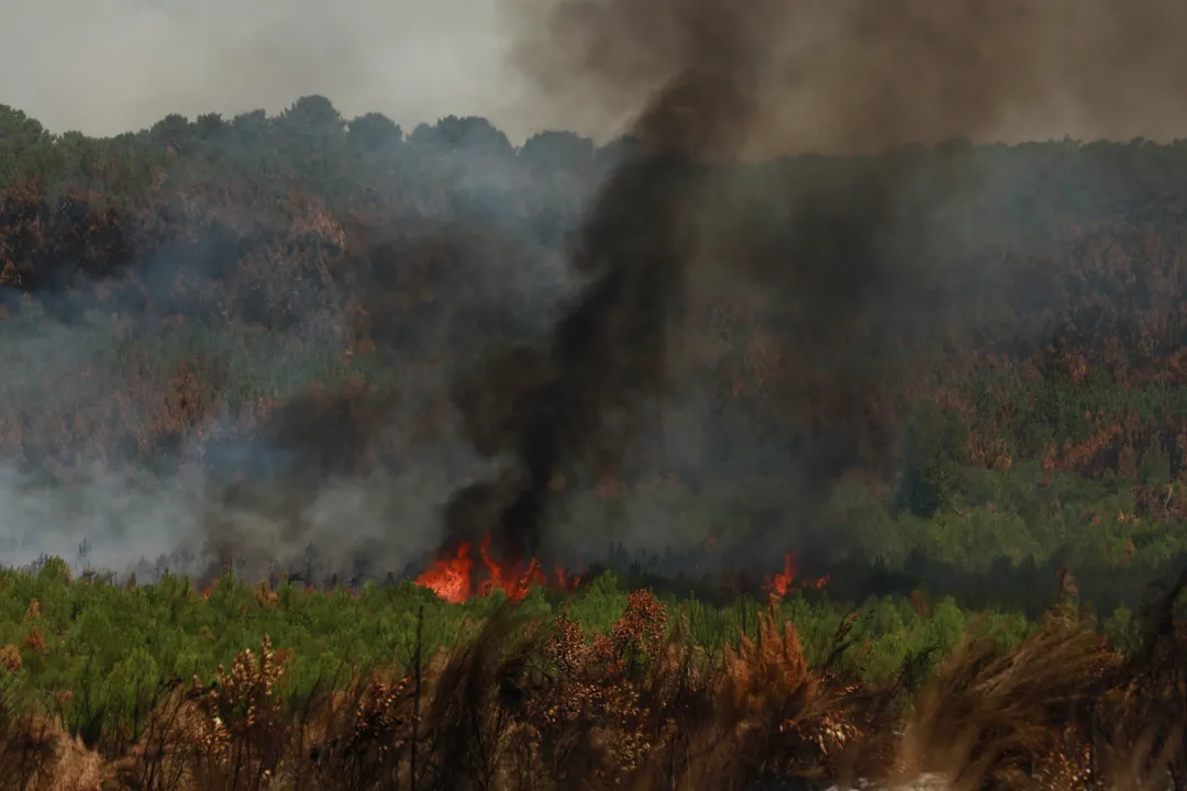 Călduri extreme și secetă: Incendiile de pădure au ajuns la o suprafață echivalentă cu suprafața totală a trei țări