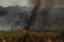 Incêndios florestais atingiram uma área equivalente à superfície total de três países