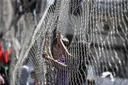 Turkiye i još sedam zemalja osudili pozive izraelskih ministara na raseljavanje Palestinaca iz Gaze