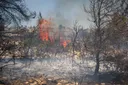Ελλάδα: O ΣΥΡΙΖΑ κατηγορεί την κυβέρνηση για ανεπάρκεια του στόλου πυρόσβεσης