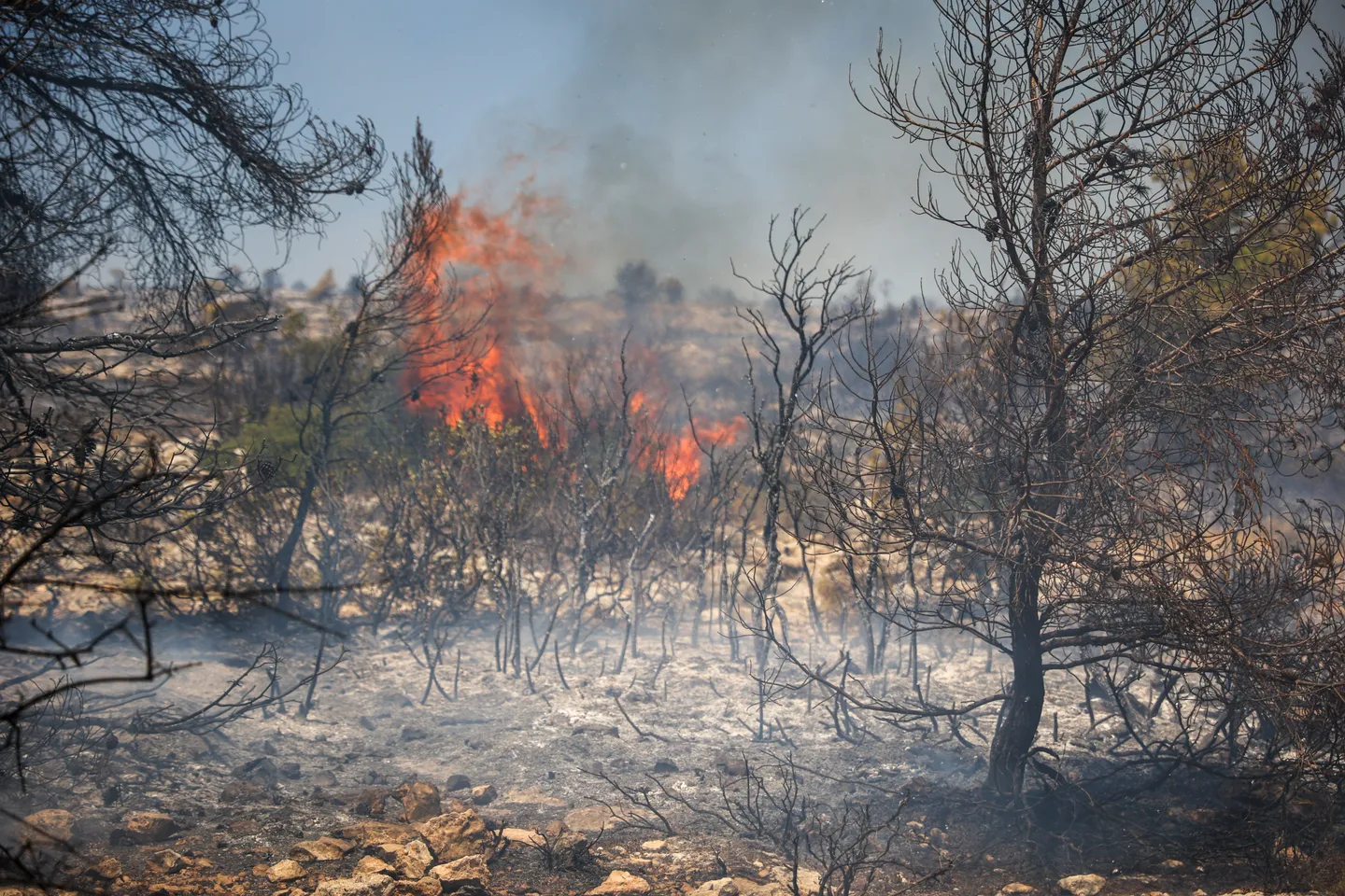 Ελλάδα: O ΣΥΡΙΖΑ κατηγορεί την κυβέρνηση για ανεπάρκεια του στόλου πυρόσβεσης