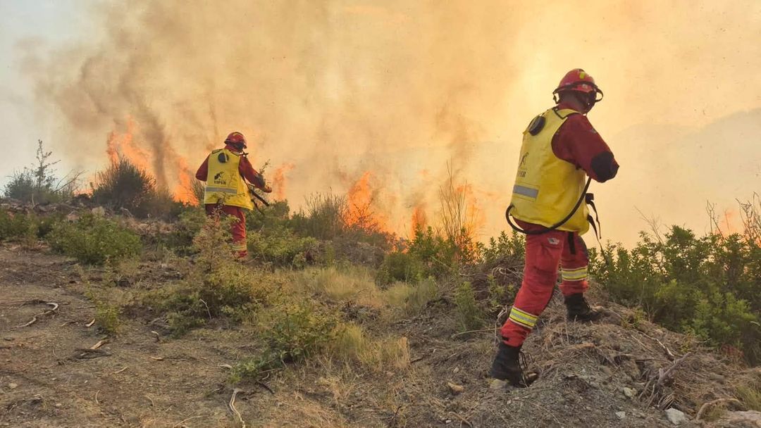 Shqipëri  29 vatra zjarri të raportuara në 24 orët e fundit  11 vijojnë aktive në disa qarqe