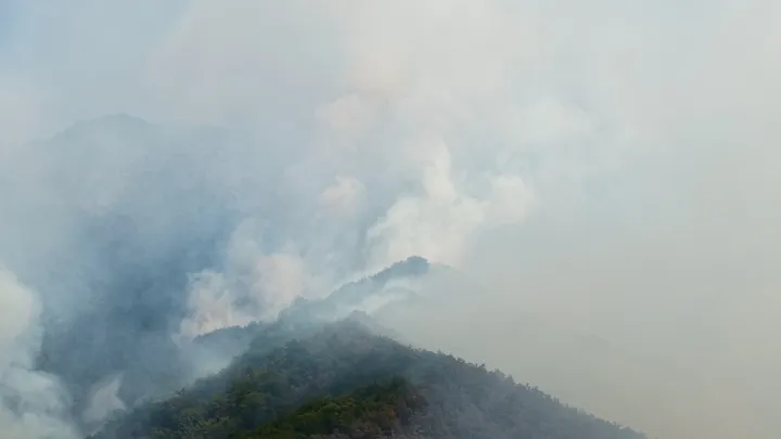 Hrvatska: Uhapšene četiri osobe koje se dovode u vezu s izazivanjem požara kod Zadra