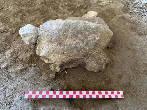 25 turtle figurines dating back 16,500 years unearthed in Türkiye