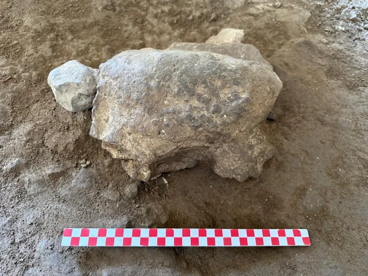 25 turtle figurines dating back 16,500 years unearthed in Türkiye