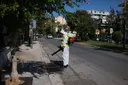 Грецияда бир жуманын ичинде Батыш Нил вирусунан алты адам каза болду
