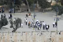 Malaysia condemns illegal Israeli settlers' mass incursion into Al-Aqsa Mosque compound