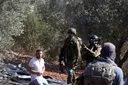 Des colons israéliens attaquent des oléiculteurs palestiniens, incendient et déracinent des oliviers