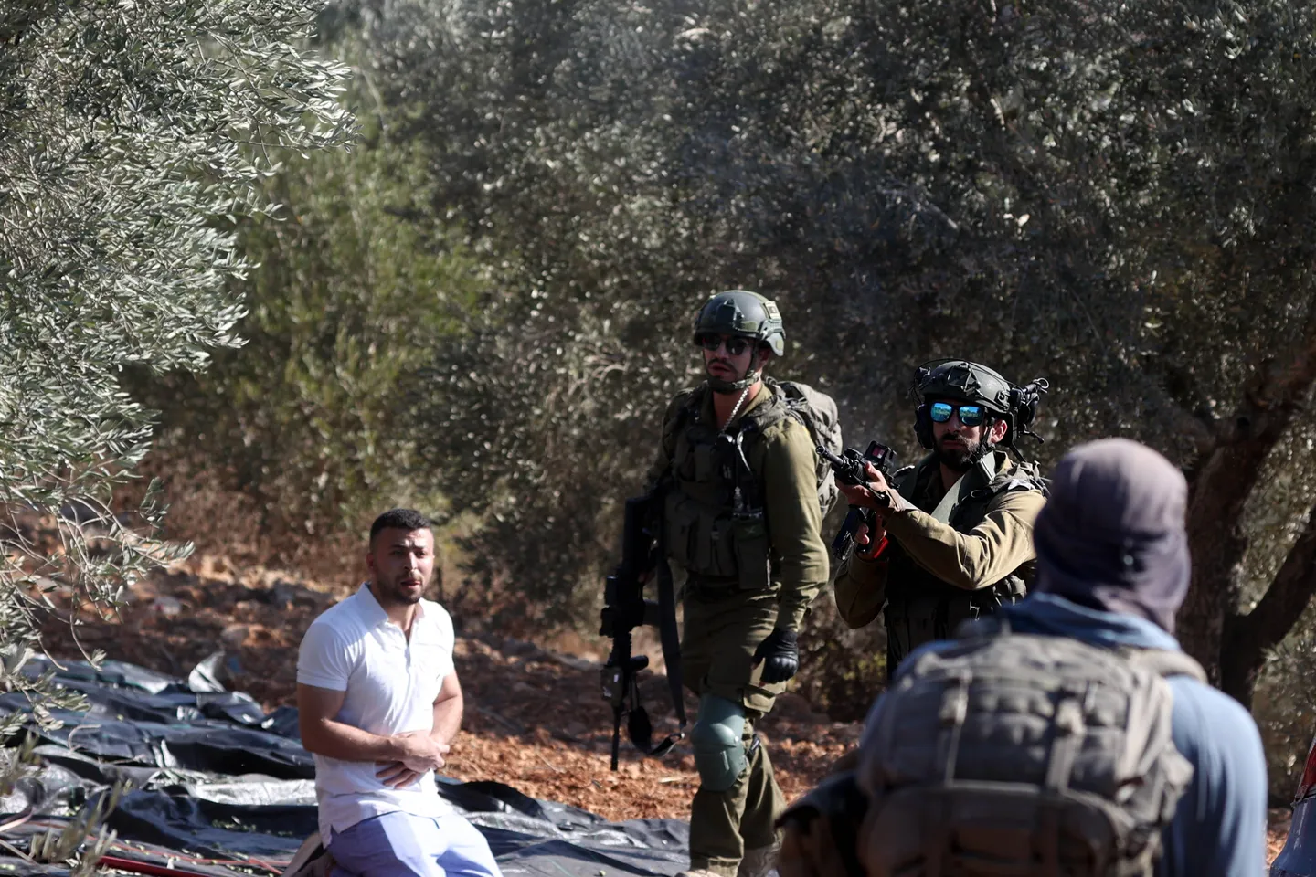 Des colons israéliens attaquent des oléiculteurs palestiniens, incendient et déracinent des oliviers