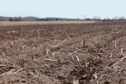 La lotta al cambiamento climatico ha bisogno di 1.400 anni di saggezza ambientale islamica