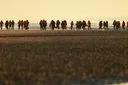Bericht: Ausgaben des Bundes für Flüchtlinge 2025 rückläufig