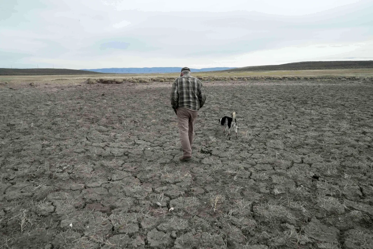 WMO: El Niño-ს გაძლიერებასთან ერთად ექსტრემალური ამინდის მოვლენების რისკის ზრდაა მოსალოდნელი