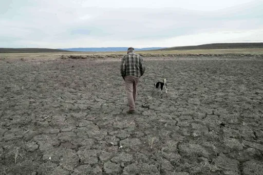 WMO: El Niño-ს გაძლიერებასთან ერთად ექსტრემალური ამინდის მოვლენების რისკის ზრდაა მოსალოდნელი