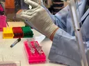 Hantavirus: 45 quarantined after case detected in France