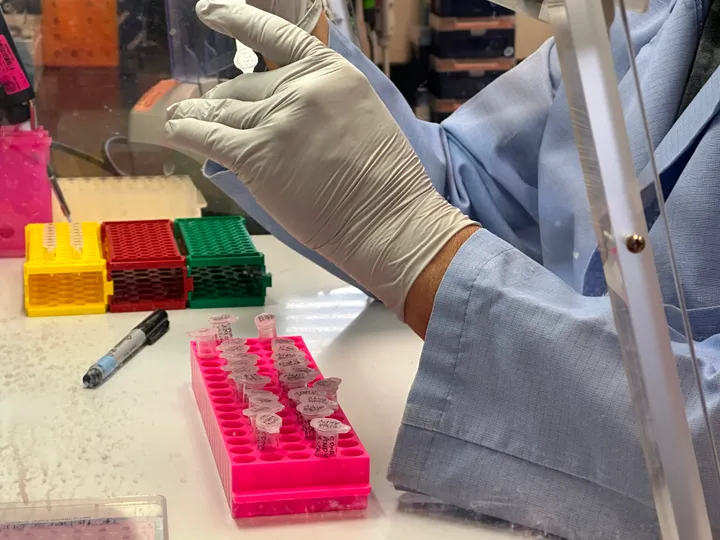 Hantavirus: 45 quarantined after case detected in France