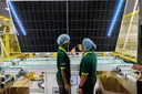 AS resmi tetapkan bea masuk tinggi untuk impor panel surya dari Indonesia