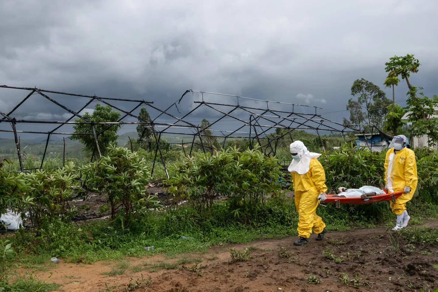 L'épidémie d'Ebola a fait plus de 5 000 morts en RD Congo