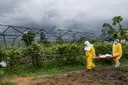 L'épidémie d'Ebola a fait plus de 5 000 morts en RD Congo