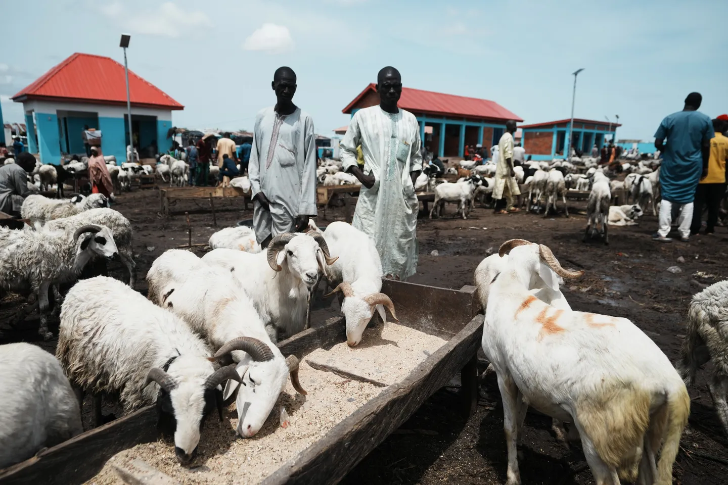 Food prices don fall by 50 percent for Nigeria- Minister