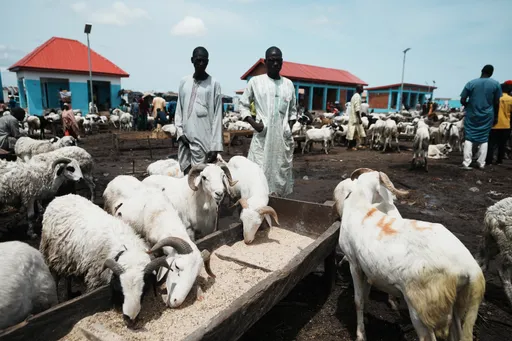 Food prices don fall by 50 percent for Nigeria- Minister