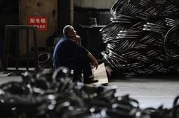 Das Drachen füttern: Wie deutsche Unternehmen Chinas Aufstieg mit ermöglichten