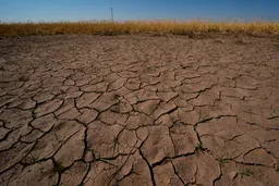 El Niño si rafforza: come influenzerà la Türkiye?
