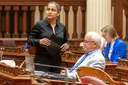 Aisha Wahab becomes first Afghan American elected to Congress after defeating AIPAC-backed rival