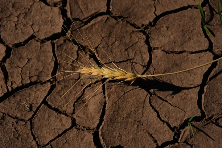 Si avvicina "El Niño" più potente: Come influenzerà il meteo e l'economia?