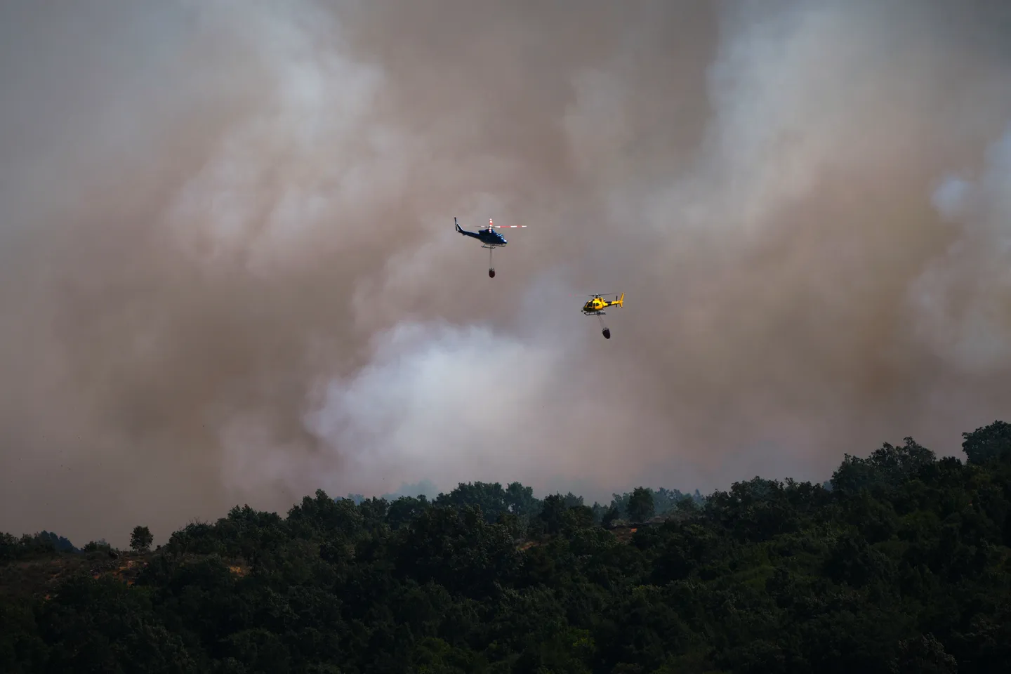 Španija prihvatila ponudu Srbije za pomoć u gašenju požara