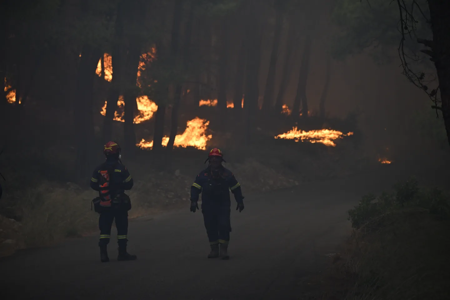 Požari prisilili na evakuacije u Grčkoj, vatrena stihija zahvatila područja blizu Atine