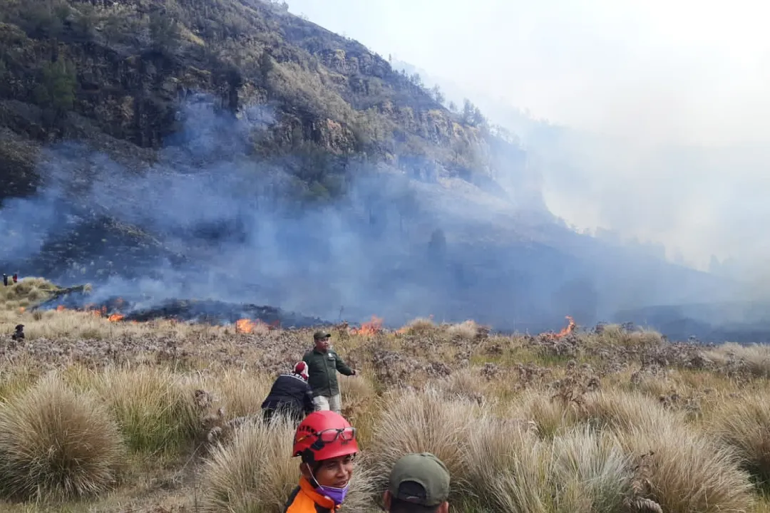 Kebakaran hutan dan lahan di Jawa Barat hanguskan 237 hektare