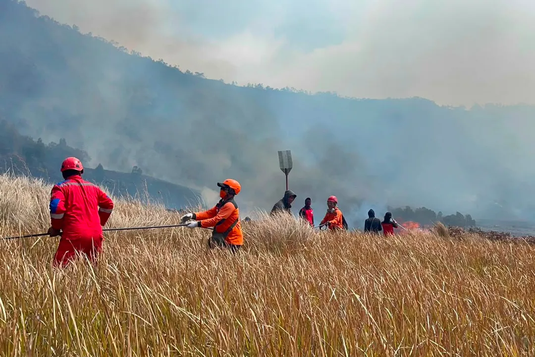 Pemerintah RI siapkan modifikasi cuaca saat karhutla hanguskan 107.000 hektare dan ancaman El Nino